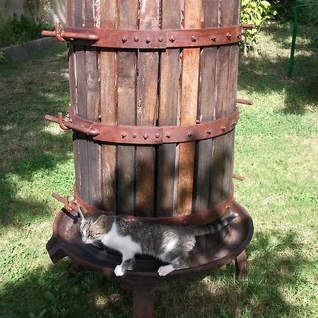 Alloggio per agriturismo Del Conero *