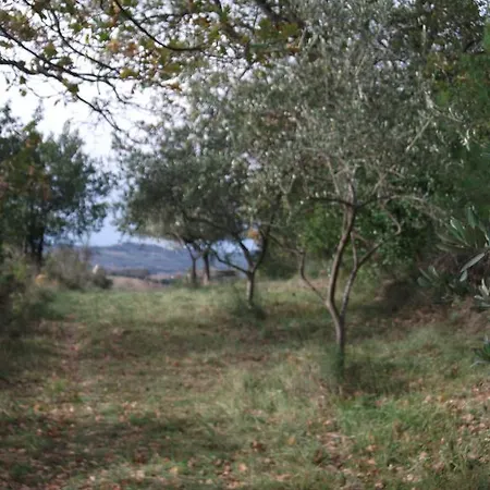 Del Conero Alloggio per agriturismo Poggio (Marche)