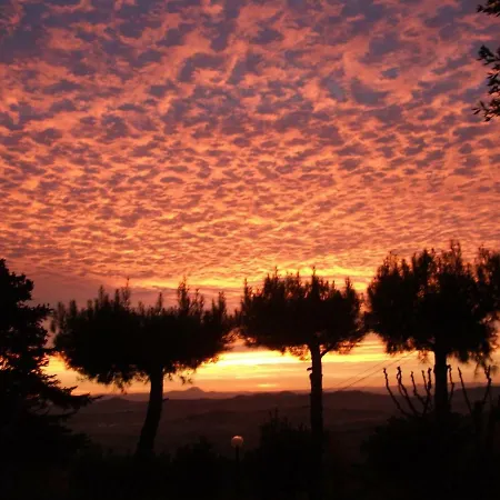 Del Conero Poggio (Marche)