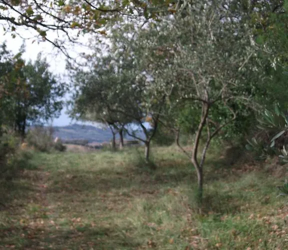 Poggio Del Conero Farm stay Poggio (Marche)