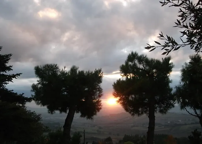 Poggio Del Conero Farm stay Poggio (Marche)