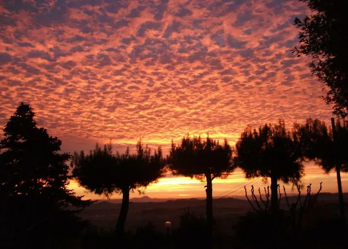 Del Conero Poggio (Marche)